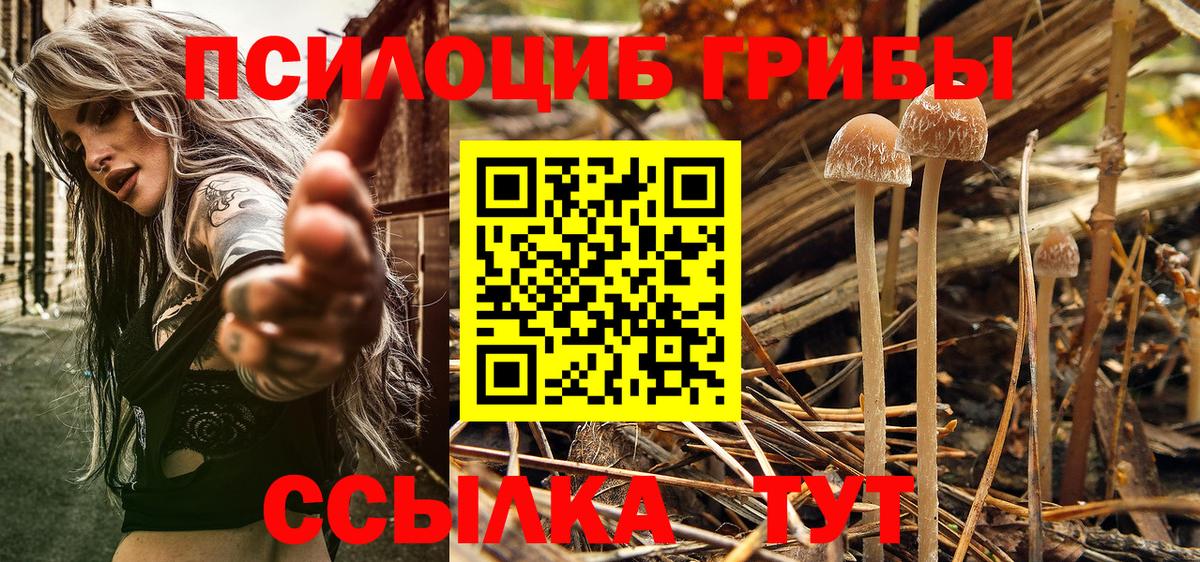 Галлюциногенные грибы ЛСД Санкт-Петербург